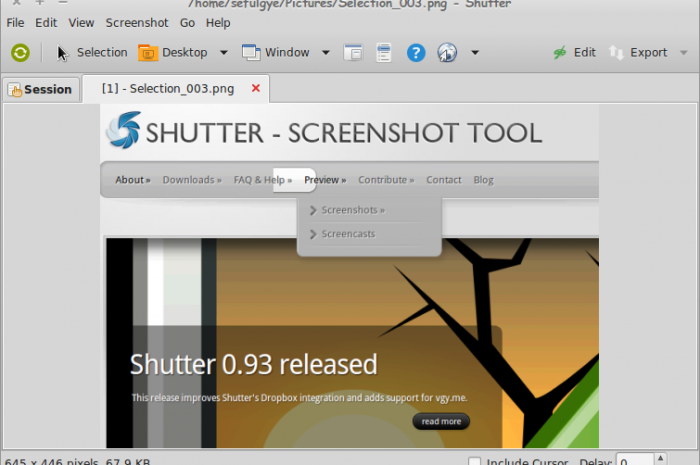 Capturar la pantalla en Linux con Shutter