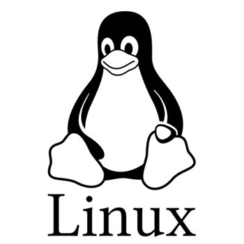 Saber la versión del Kernel Linux desde la terminal