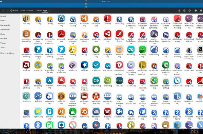 Instalar el set de iconos Shadow en Linux