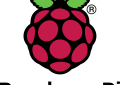 Raspberry Logo