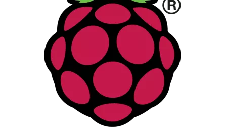 Raspberry Logo