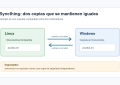 Esquema de dos carpetas de Syncthing en Linux y Windows, con cambios y borrados en ambos sentidos